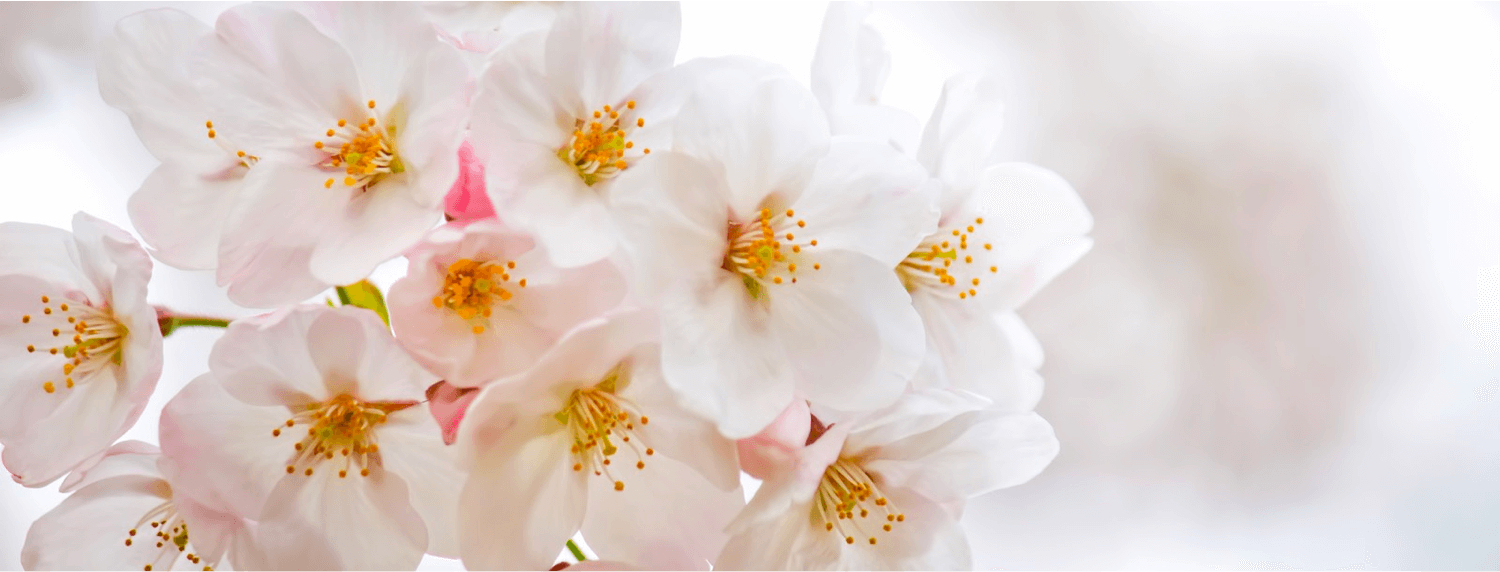 3月を過ぎた場合