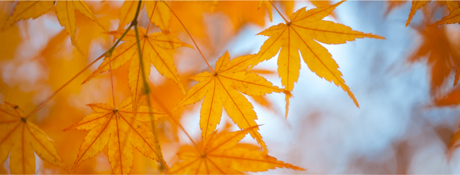 9月をすぎた場合